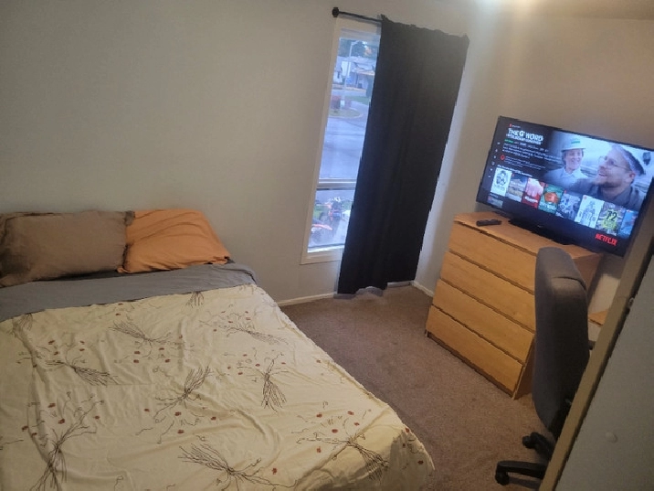 Suite c/w 50' LED 4K TV & Netflix, Sauna in Ottawa,ON - Room Rentals & Roommates