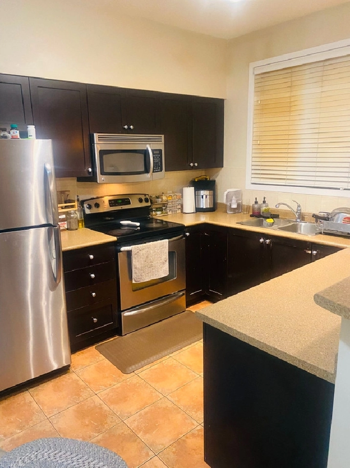 Corner Penthouse Condo Unit for Rent Jan 20th in Calgary,AB - Apartments & Condos for Rent