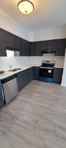 Two Bedroom   2.5 Bath Stacked Townhouse in Kitchener