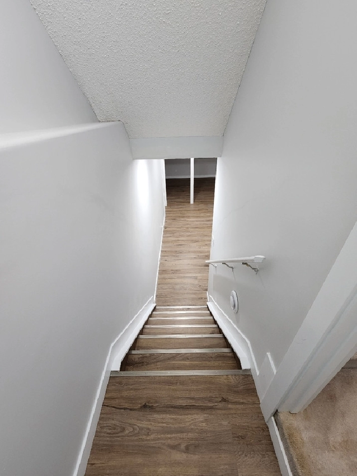 2 Bedroom Basement Suite- SEPARATE ENTRANCE in Edmonton,AB - Apartments & Condos for Rent