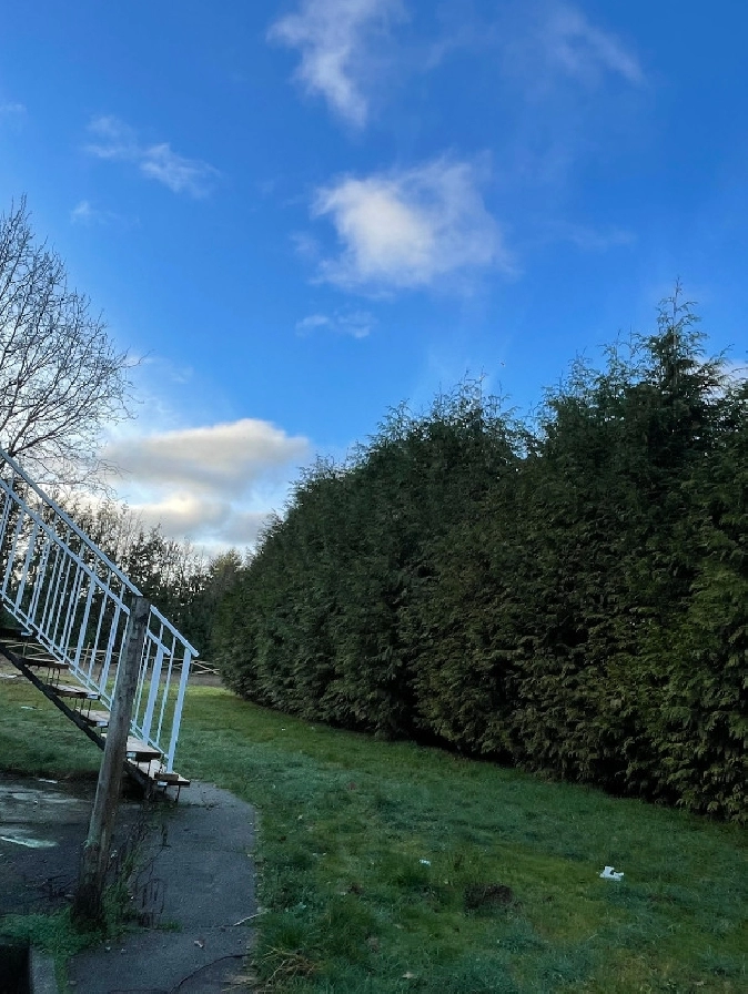 2 bed basement for rent in Delta/Surrey/Langley,BC Apartments