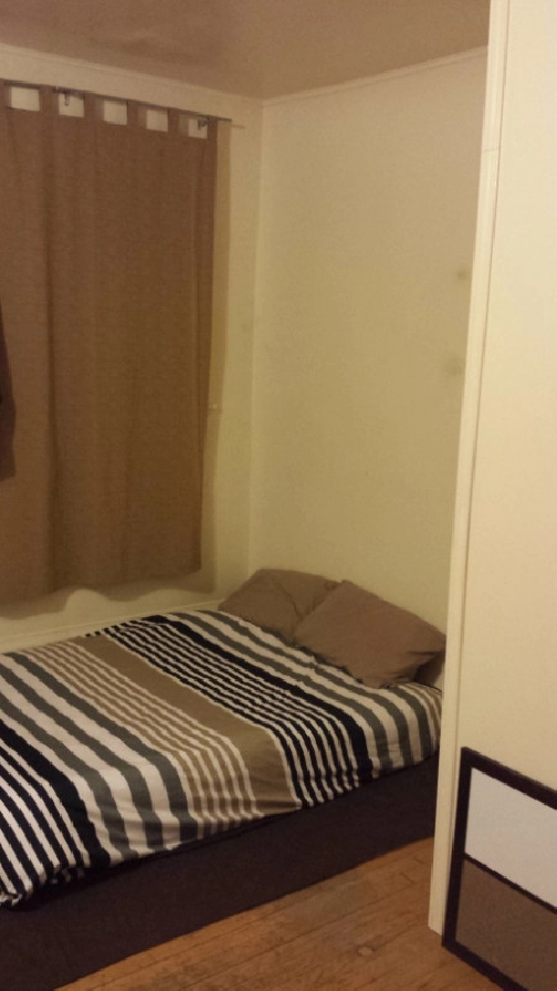 GLEBE LARGE ROOM AVAILABLE NOW, HOLMWOOD/BANK (Shared Apt.) in Ottawa,ON - Room Rentals & Roommates