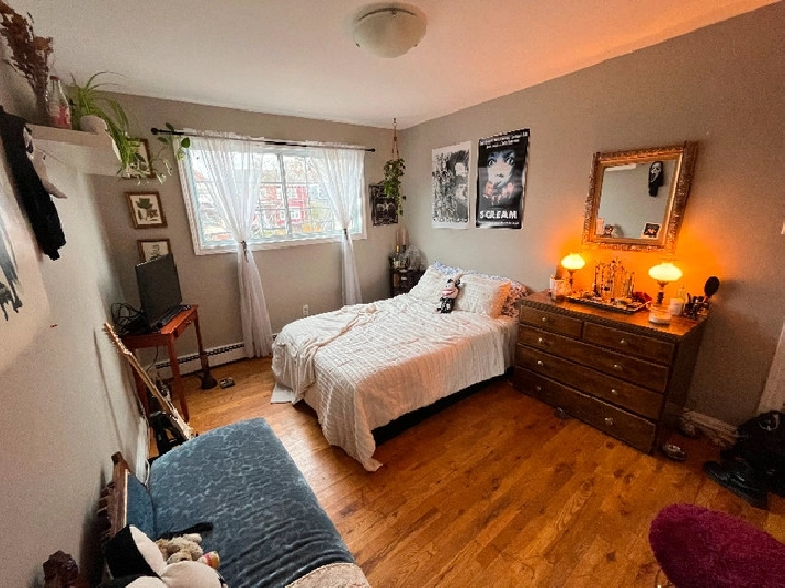 2 bedrooms for rent in City of Halifax,NS - Room Rentals & Roommates