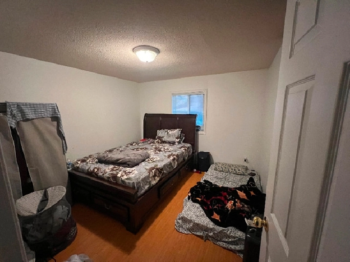 One sharing space for a girl in City of Toronto,ON - Room Rentals & Roommates