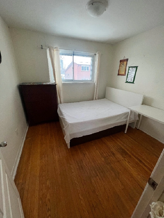 DOWNTOWN BRAMPTON ROOM FOR RENT ASAP NEAR ALGOMA UNIVERSITY in ...