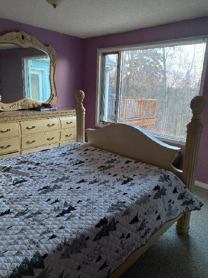 Beautiful room available at my farm property in the city in Edmonton,AB - Room Rentals & Roommates