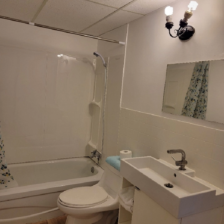 Newly renovatedfurnishedall utilities includedpet friendly in Red