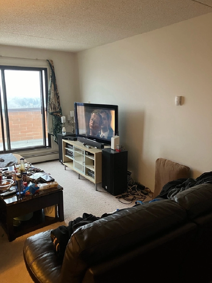 Looking for a roommate in Dalhousie apartment in Calgary,AB - Room Rentals & Roommates