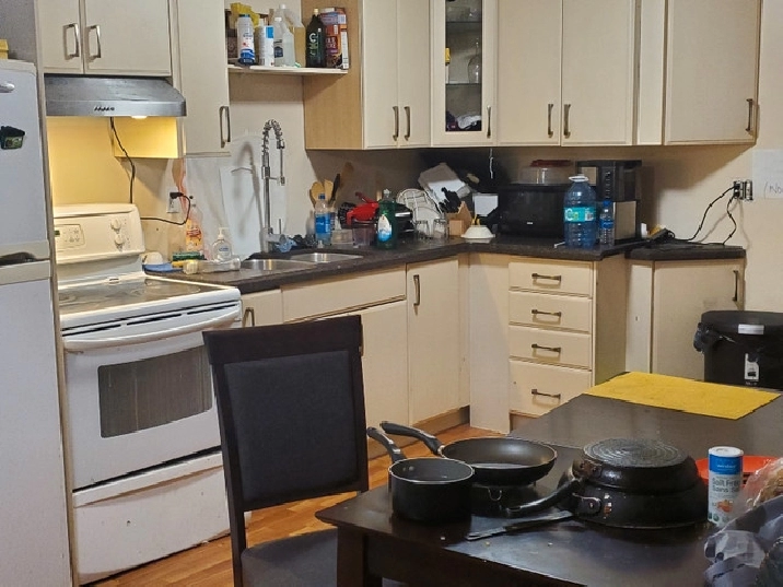 Looking for Roommate in City of Toronto,ON - Room Rentals & Roommates