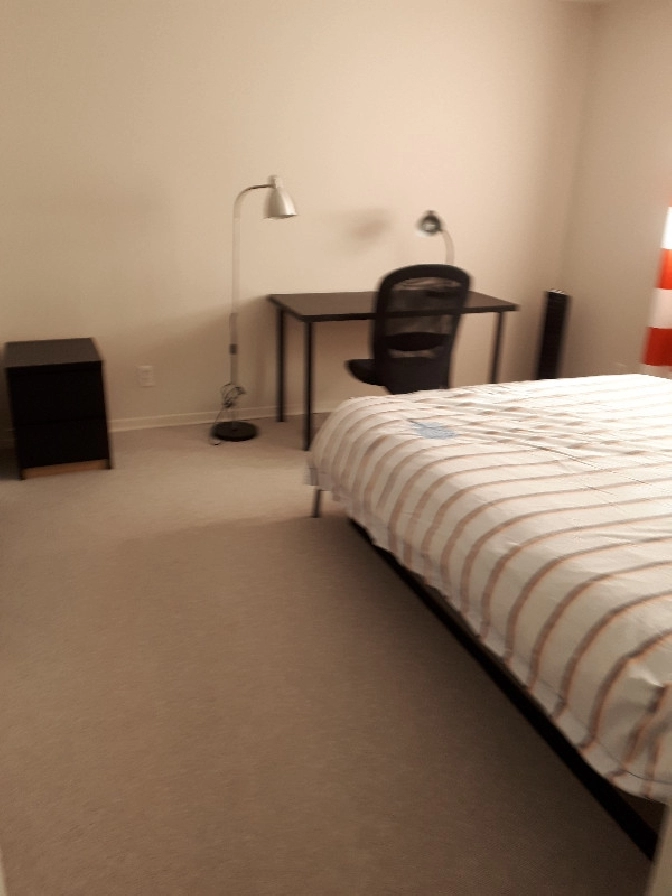 One Bedroom for Rent - Near to O train Blair Station in Ottawa,ON - Room Rentals & Roommates