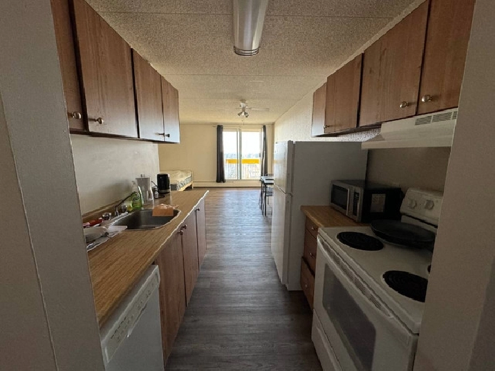 Nice and Cozy Studio Apartment! in Edmonton,AB - Apartments & Condos for Rent