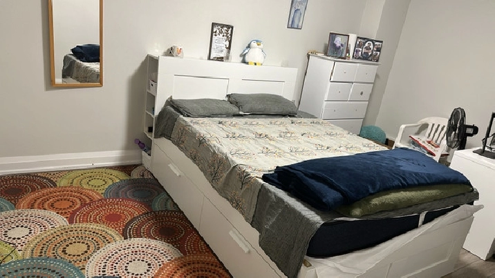 Spacious fully furnished room available for rent in City of Toronto,ON - Room Rentals & Roommates