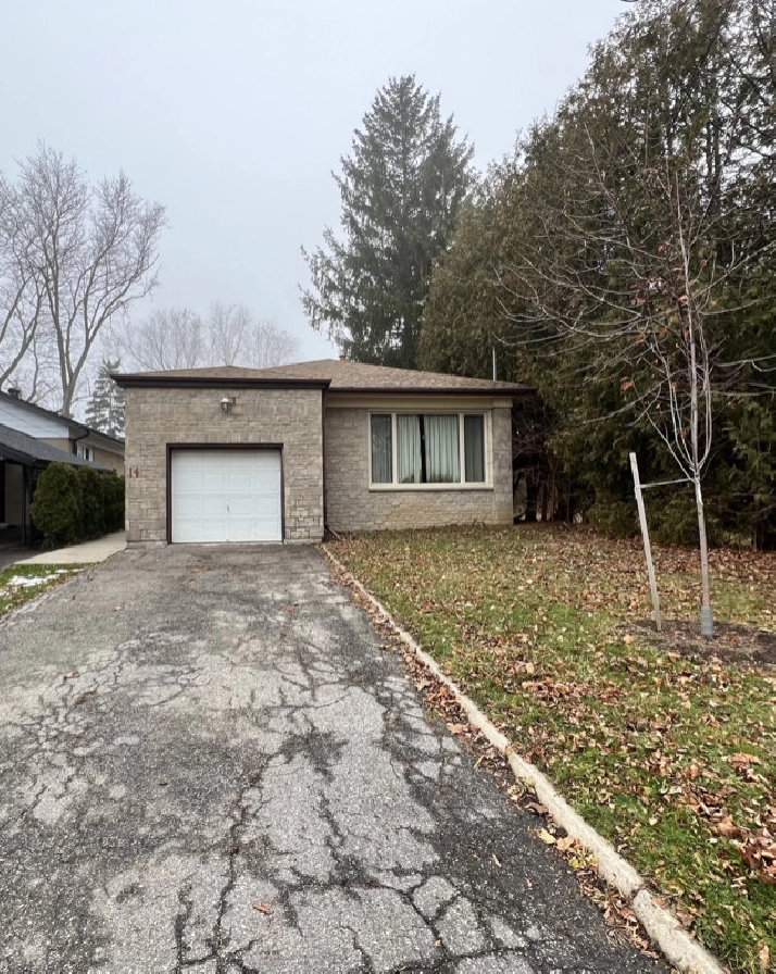 Detached Bungalow!! 40 Feet By 125 Feet Lot!! in City of Toronto,ON - Houses for Sale