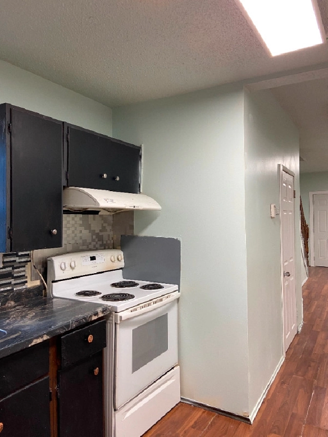 Recently Renovated 3 bedroom House in Regina,SK - Apartments & Condos for Rent