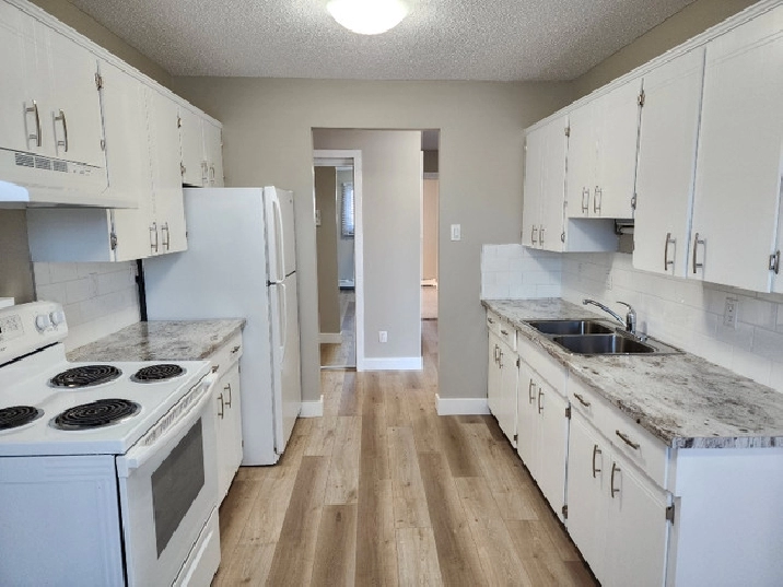 Two Bedroom suite (Fully Renovated) in Edmonton,AB - Apartments & Condos for Rent