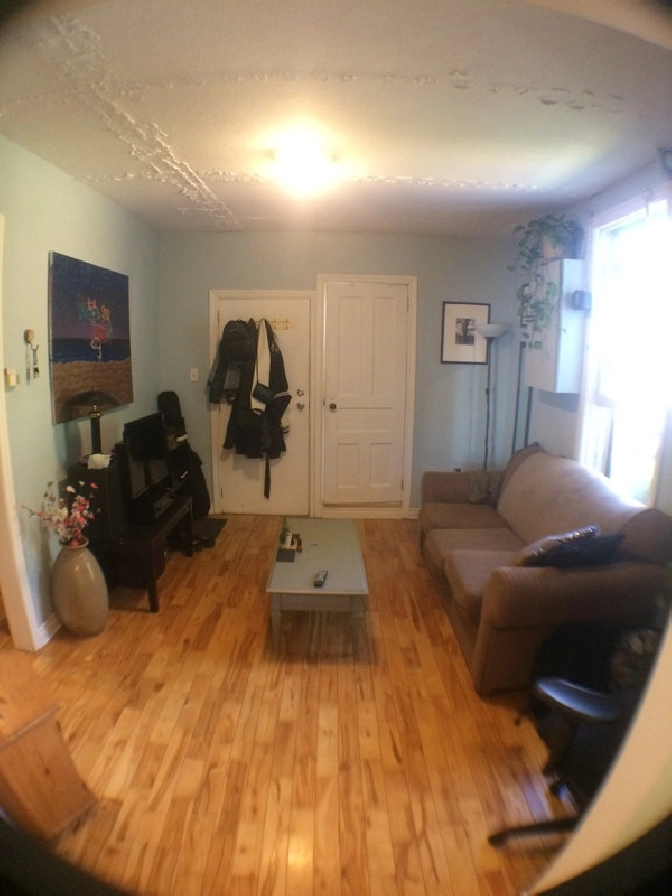 Yale Street -One Bedroom-Feb 1st. in City of Halifax,NS - Apartments & Condos for Rent