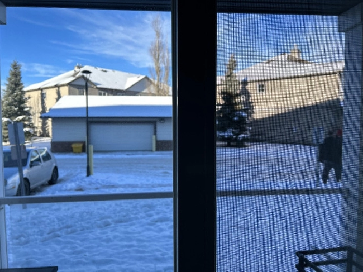Bachelor's studio, Calgary, NE with all utilities available asap in Calgary,AB - Apartments & Condos for Rent