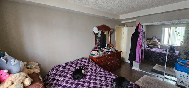 SUBLET AVAILABLE IMMEDIATELY in Winnipeg,MB - Apartments & Condos for Rent