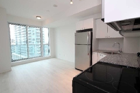 Beautiful Bachelor - studio for rent in Liberty village in City of Toronto,ON - Apartments & Condos for Rent
