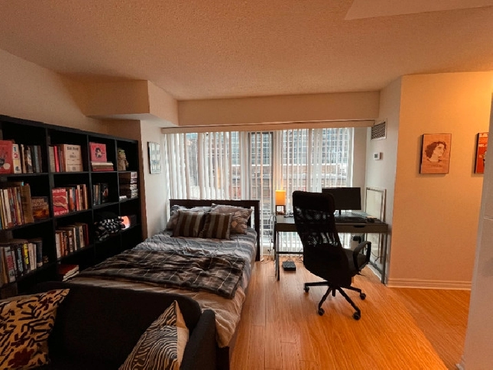 Spacious Studio In Downtown Core For Rent in City of Toronto,ON - Apartments & Condos for Rent