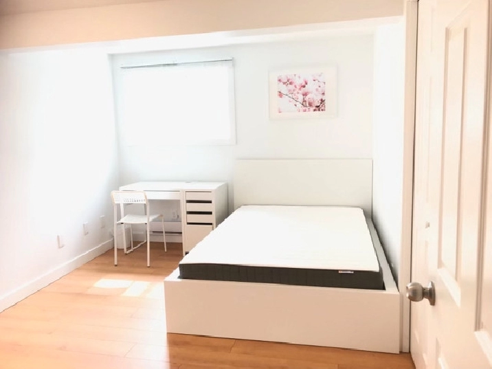 High quality single male student/professional’s rooms NW train in Calgary,AB - Room Rentals & Roommates