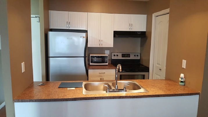 Cozy one Bedroom Condo - Oliver $1350 Incl. Utilities in Edmonton,AB - Apartments & Condos for Rent