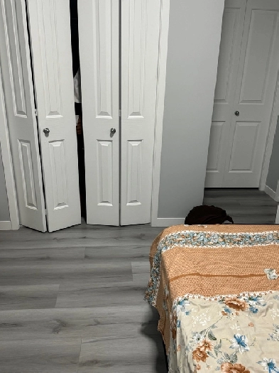 Room rent   only girls