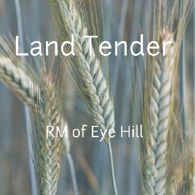 FOR SALE BY TENDER Image# 1