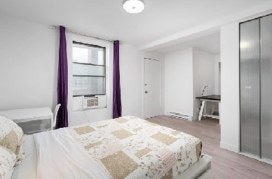 3 Bedroom Penthouse Downtown