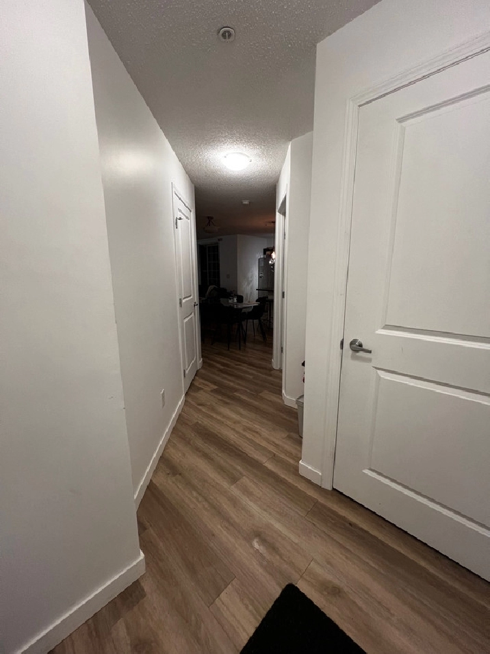 Newly renovated, 2 bed 2 bathroom apartment - FEB 1 in Edmonton,AB - Apartments & Condos for Rent