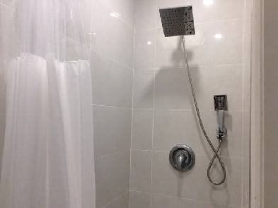 Yonge/Finch Room Rent