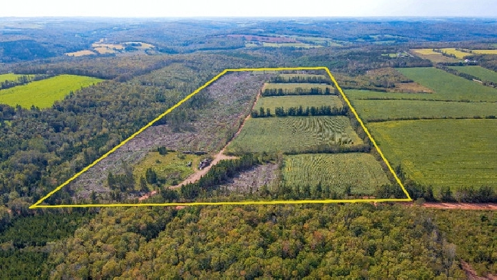 100 Acres of Farm Land to build your Homestead Dreams! in Charlottetown,PE - Land for Sale