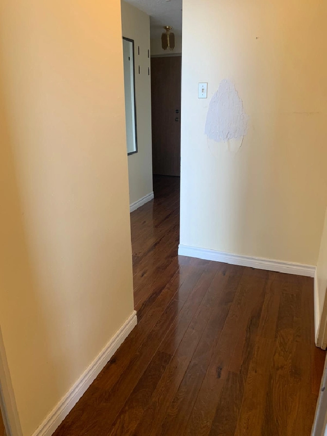 1 bedroom condo. Near Conestoga College and all amenities. in Kitchener