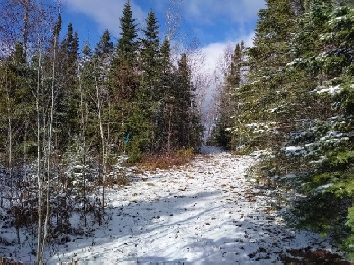 Terre à bois à St-Adalbert lot zoné blanc vue sur montagne Image# 1