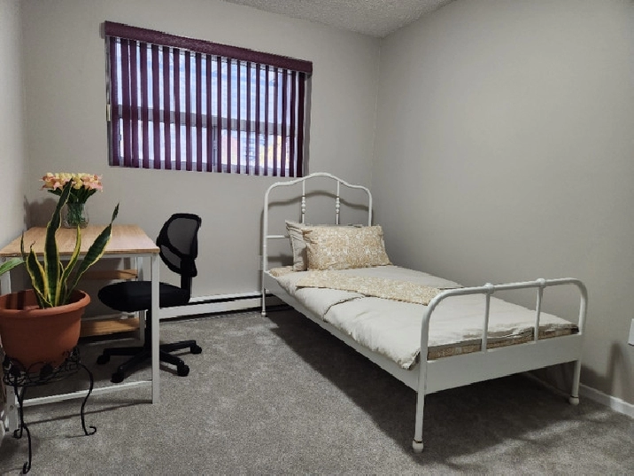 Private room for rent near Centennial College! Female only! in City of Toronto,ON - Room Rentals & Roommates