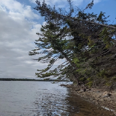 Lakefront & Upland Property