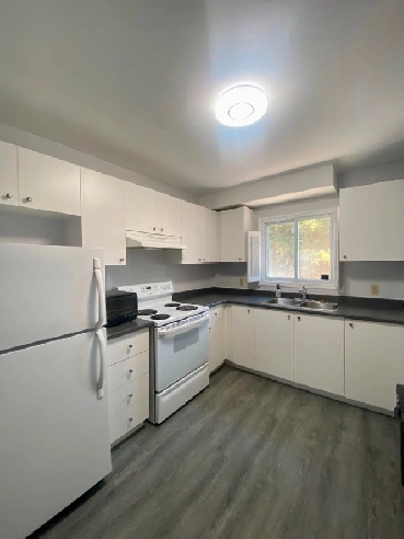 5 Bedroom Unit Close to U of Image# 1