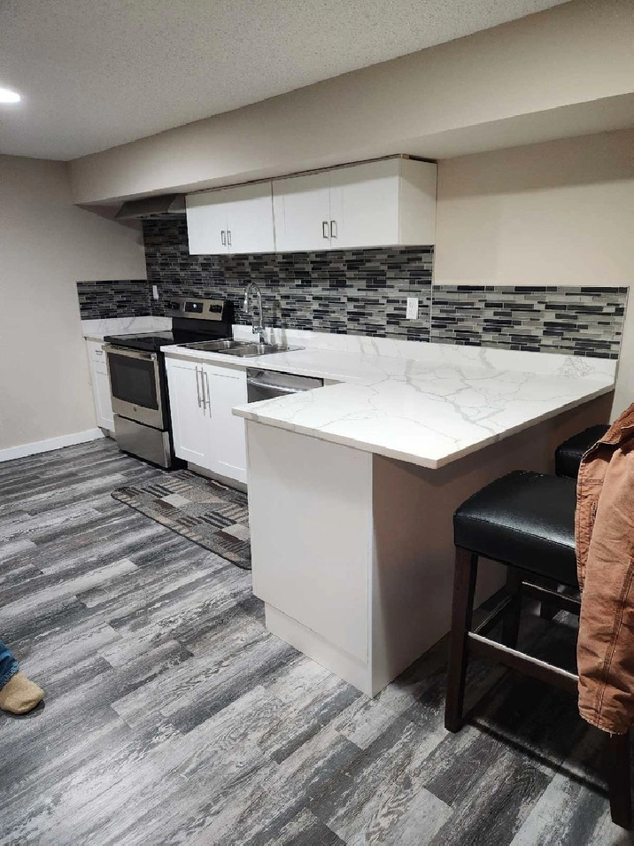 Basement suite in Edmonton,AB - Apartments & Condos for Rent