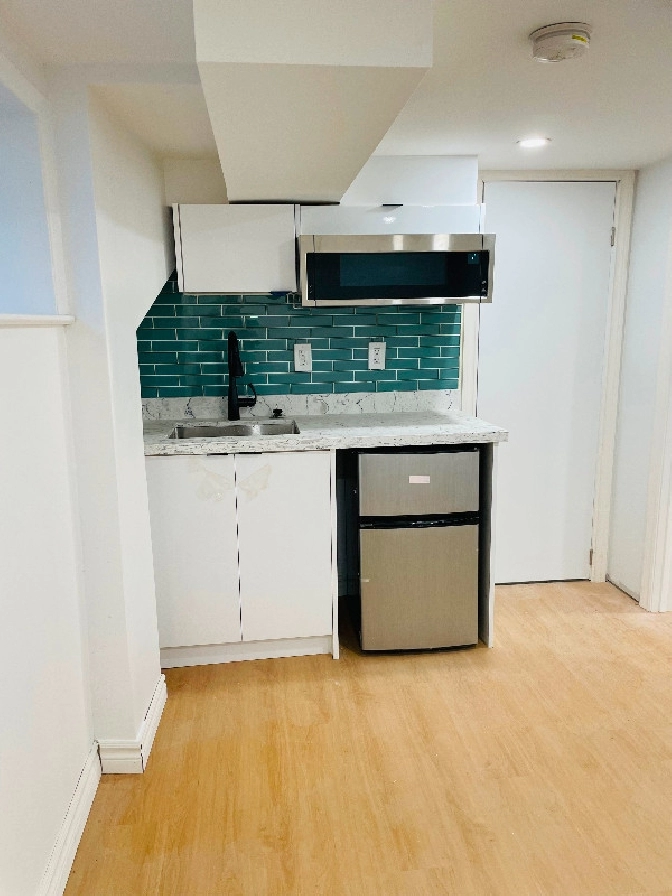 Downtown College&Ossington 1 studio in half basement available in City of Toronto,ON - Apartments & Condos for Rent