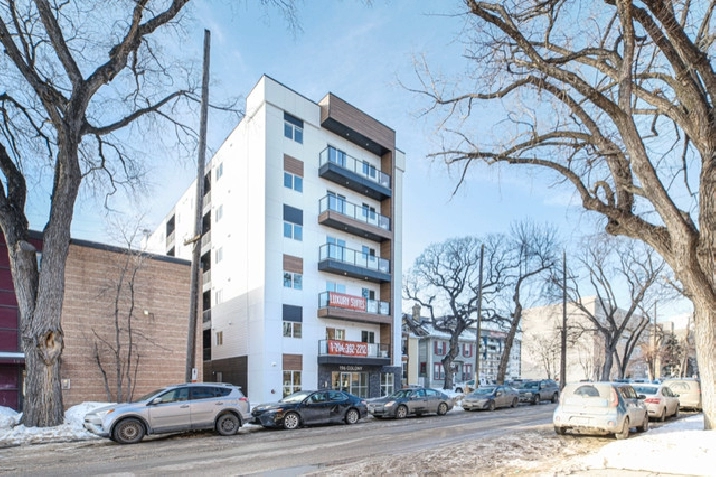 Modern 1 Bedroom Apartment in West Broadway Available March 1! in Winnipeg,MB - Apartments & Condos for Rent