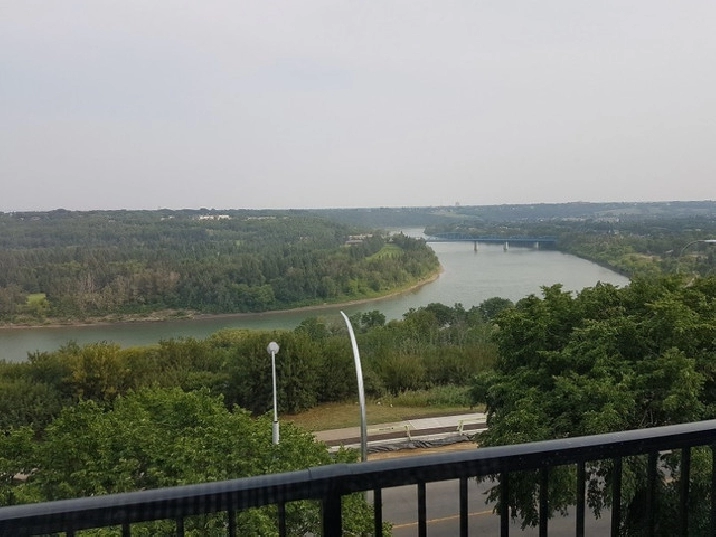 Sunning bachelor Suite available overlooking river valley in Edmonton,AB - Apartments & Condos for Rent