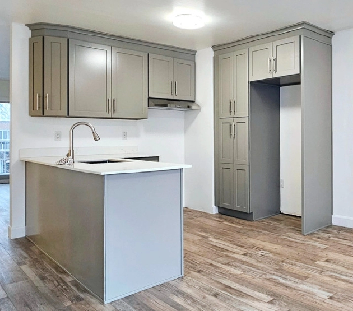 Luxe 4 1/2 a louer for rent Montreal-Nord 2 chambre in City of Montréal,QC - Apartments & Condos for Rent