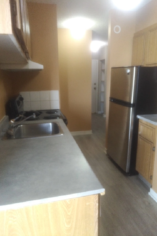 BRIGHT AND SPACIOUS 1 BEDROOM SUITES FOR RENT! in Edmonton,AB - Apartments & Condos for Rent