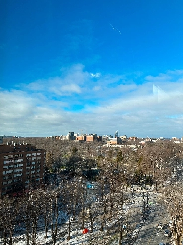 Downtown Condo For Rent