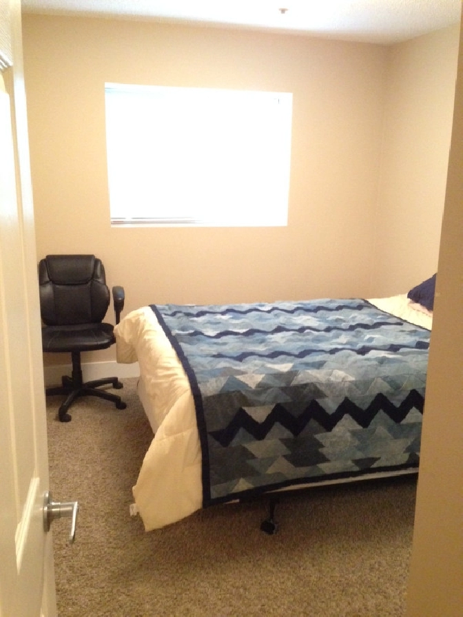 Modern Unfurnished Basement suit for Rent in River Par,k South in Winnipeg,MB - Apartments & Condos for Rent
