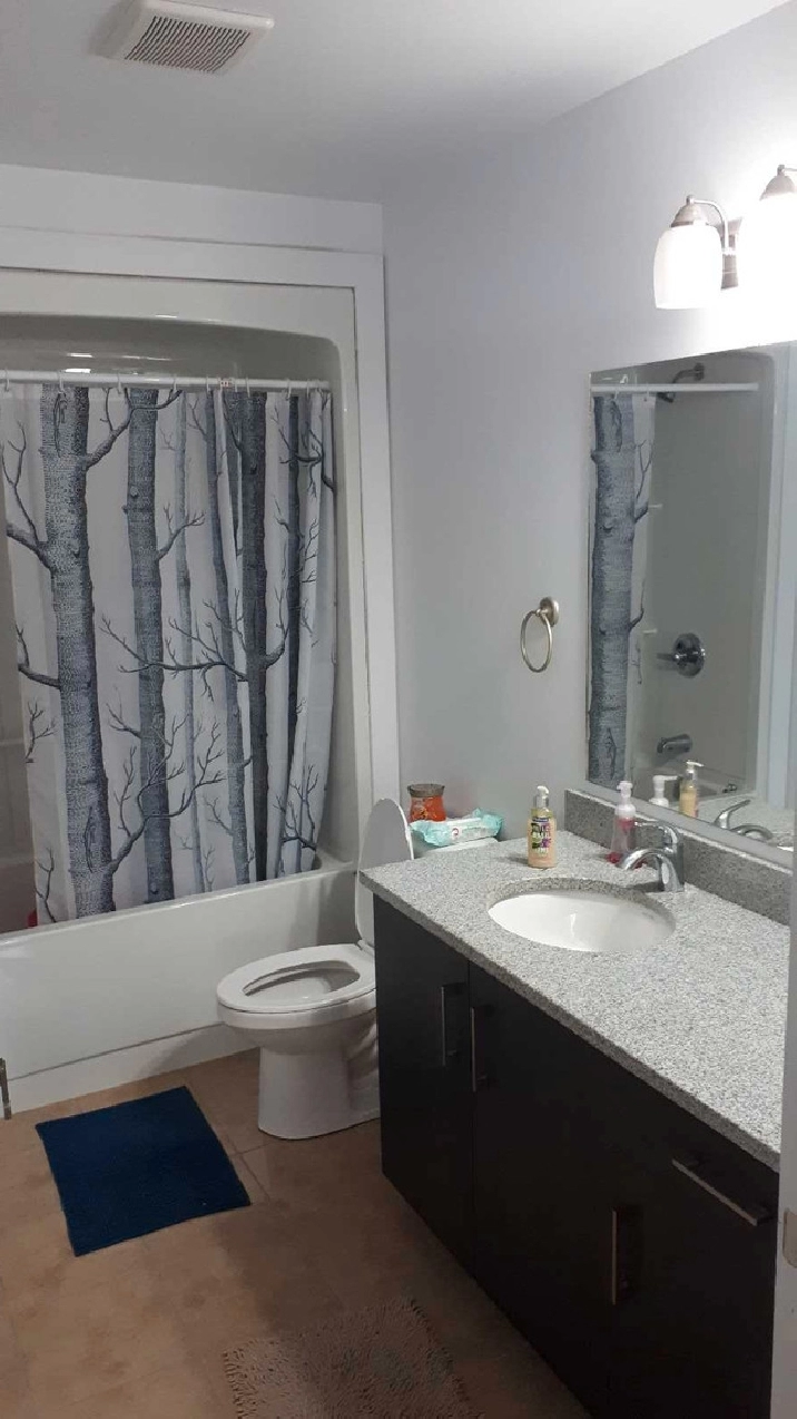 Available now - Furnished room for a female with separate bath in City of Halifax,NS - Room Rentals & Roommates