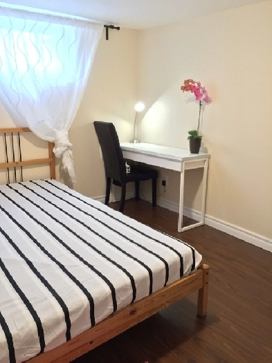 Dufferin &. Eglinton semi-basement room for rent- female only Image# 1