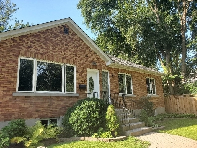 Alta Vista Bungalow For Rent