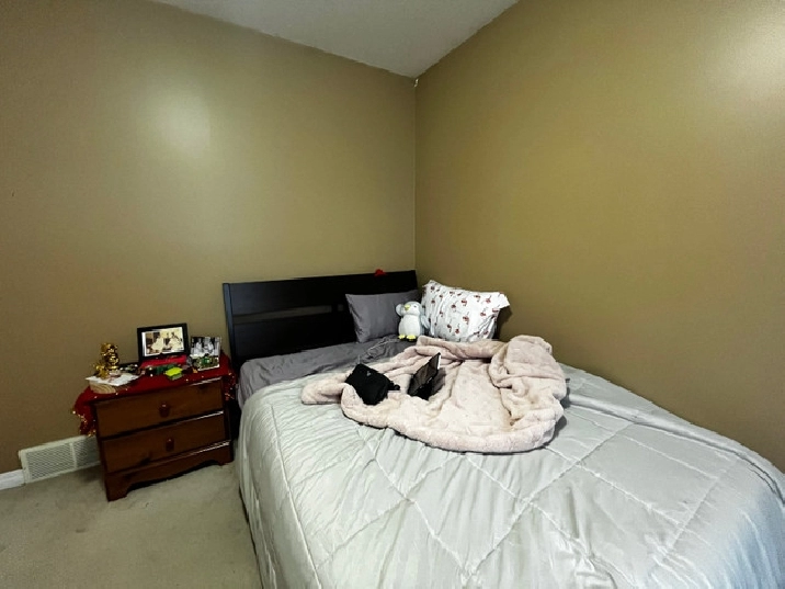 Female room for rent in Edmonton,AB - Room Rentals & Roommates