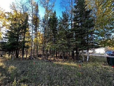 LAND FOR SALE IN PINAWA!